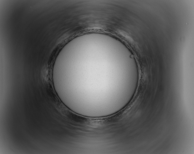 X0000088091258200705251421