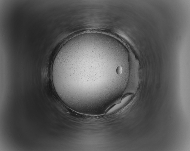 X0000088091259200705251421