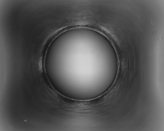 X0000088091262200705251421