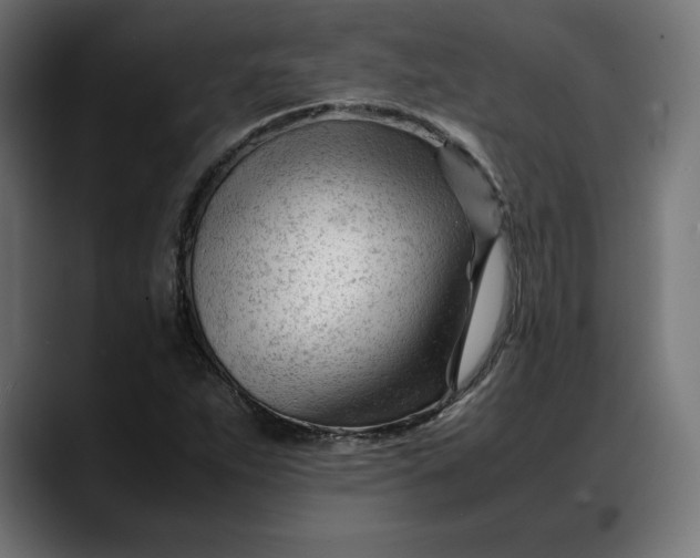 X0000088091263200705251421