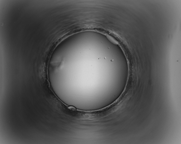 X0000088091265200705251421