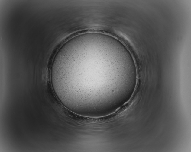 X0000088091267200705251421