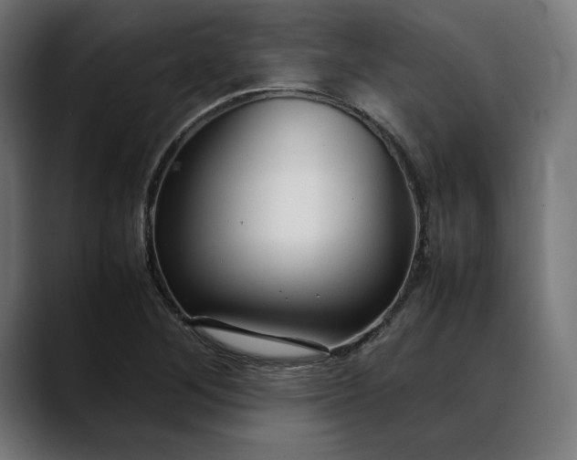 X0000088091268200705251421