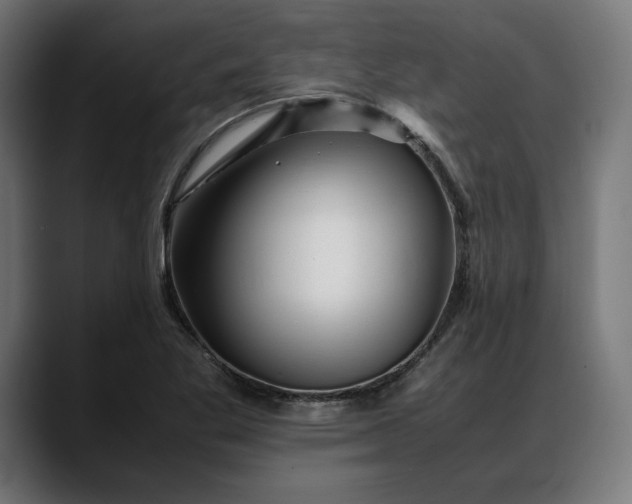 X0000088091269200705251421