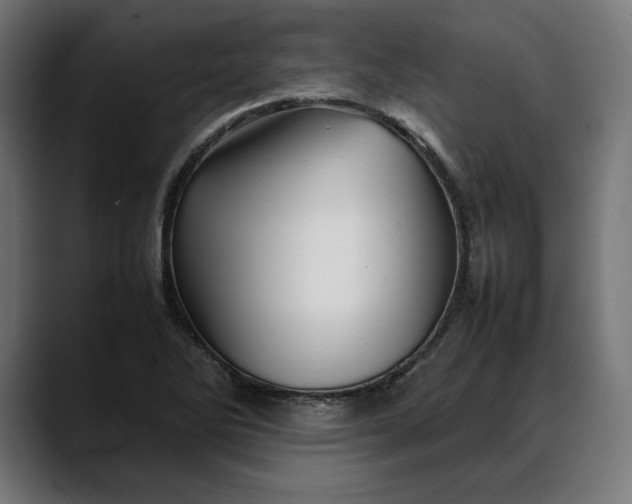 X0000088091270200705251421