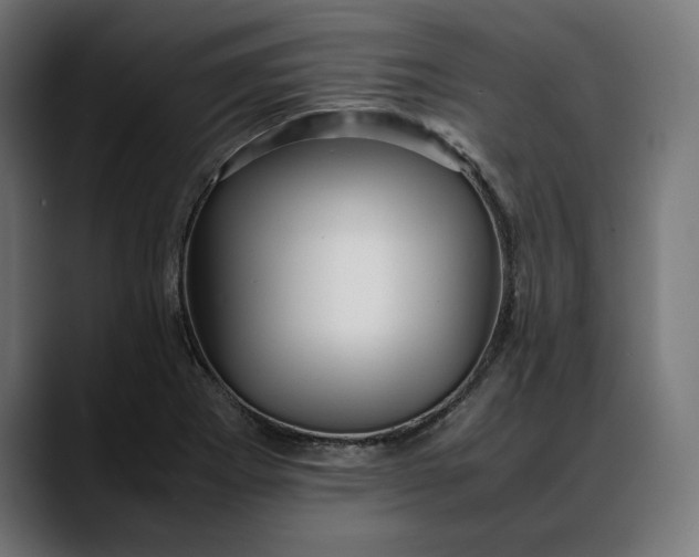 X0000088091273200705251421