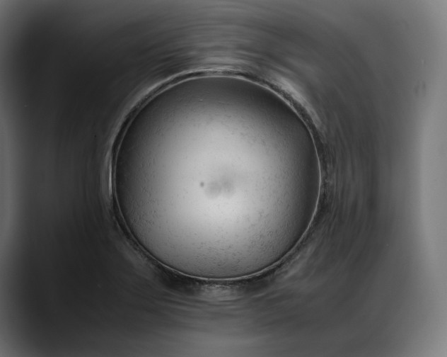 X0000088091275200705251421