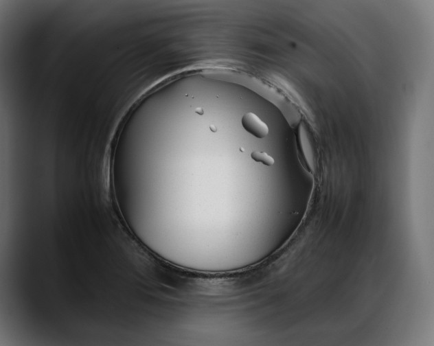 X0000088091276200705251421