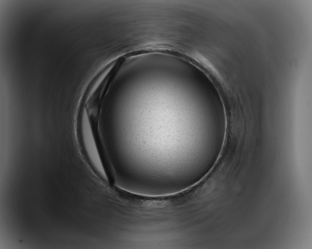 X0000088091277200705251421