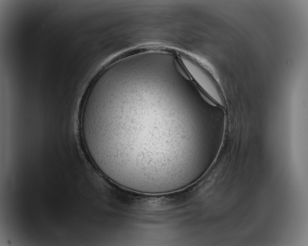 X0000088091279200705251421