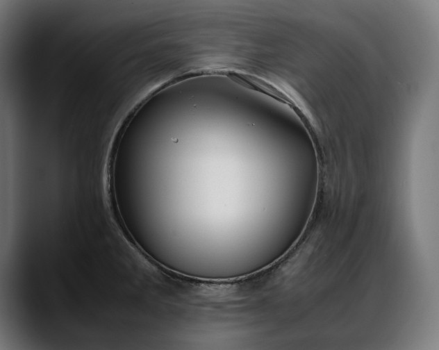 X0000088091285200705251421