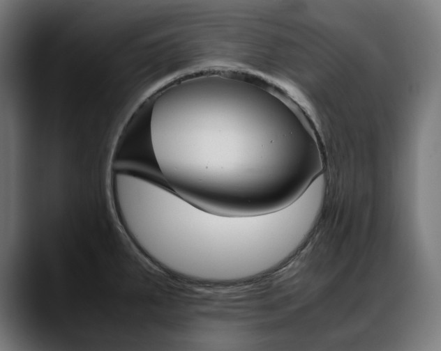 X0000088091287200705251421