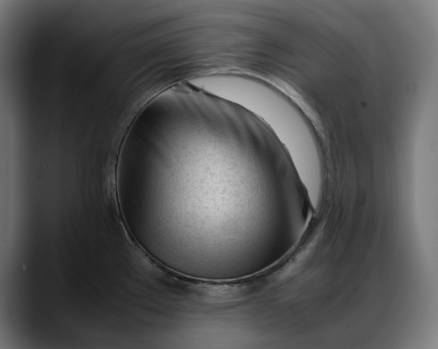 X0000088091289200705251421