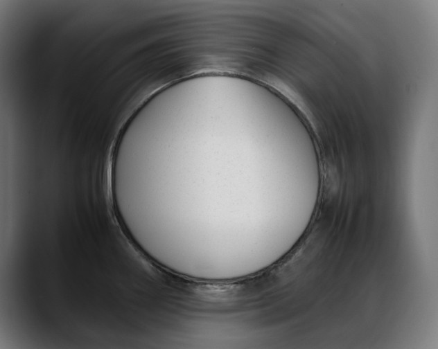 X0000088091290200705251421