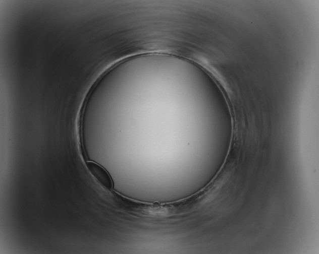 X0000088091291200705251421