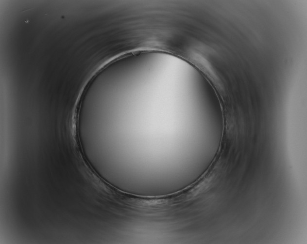 X0000088091292200705251421