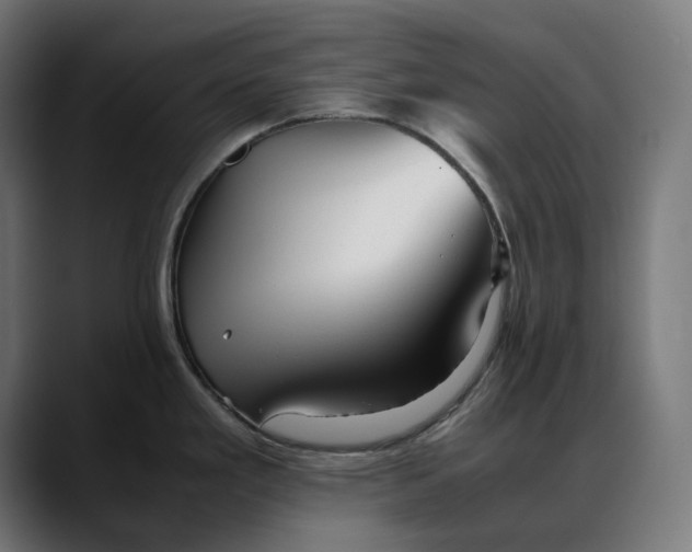 X0000088091293200705251421