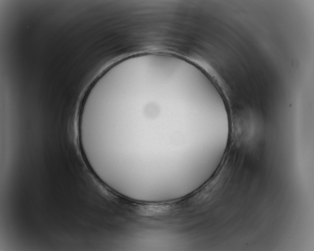 X0000088091294200705251421