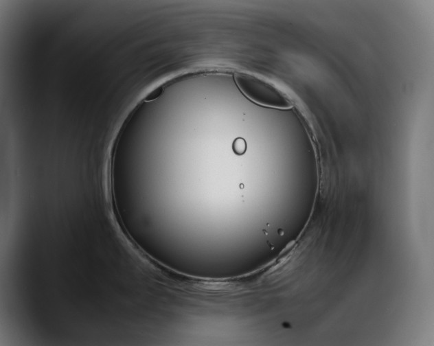 X0000088091295200705251421