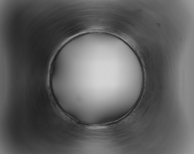 X0000088091296200705251421