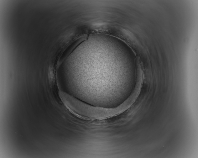 X0000088091298200705251420