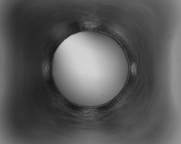 X0000088091299200705251420