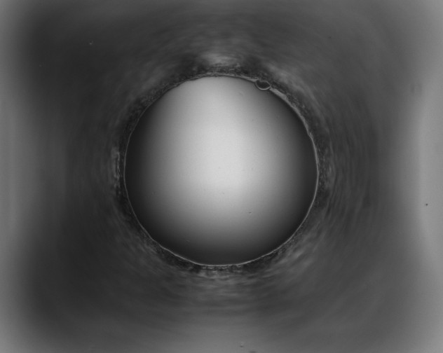 X0000088091301200705251420