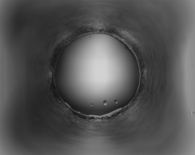 X0000088091302200705251420