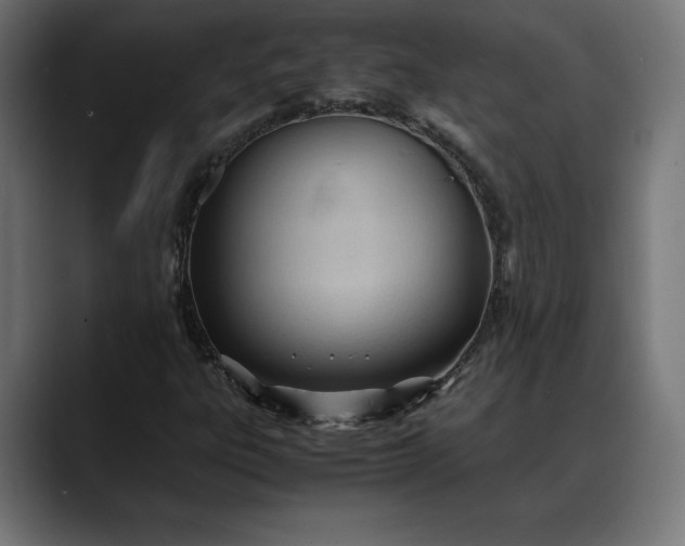 X0000088091303200705251420