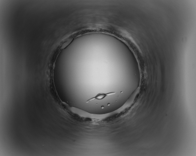 X0000088091304200705251420