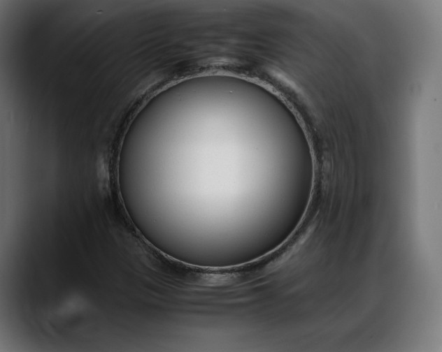 X0000088091305200705251420