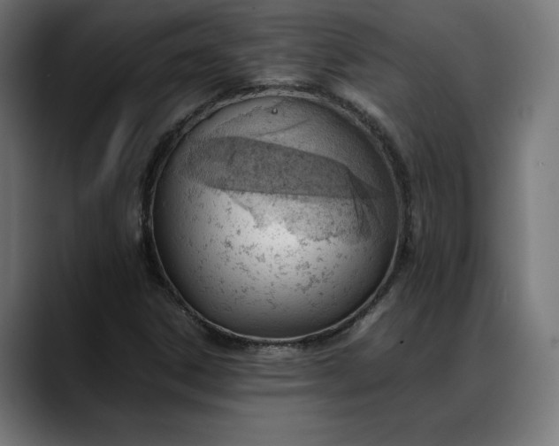 X0000088091306200705251420