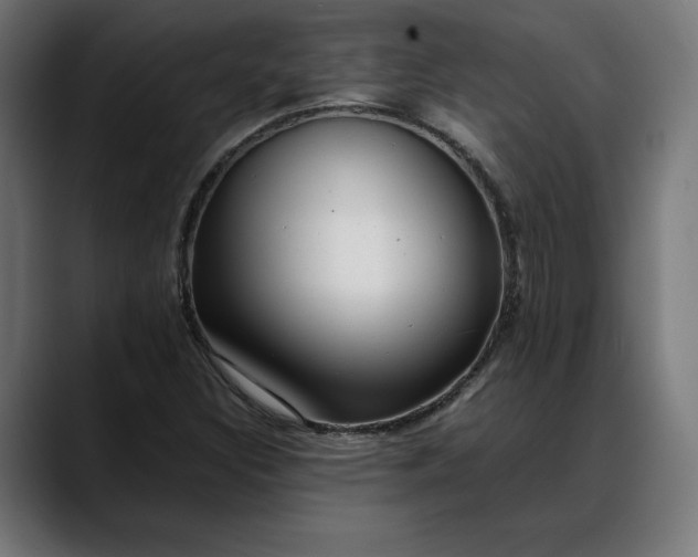 X0000088091308200705251420