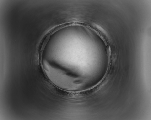 X0000088091310200705251420