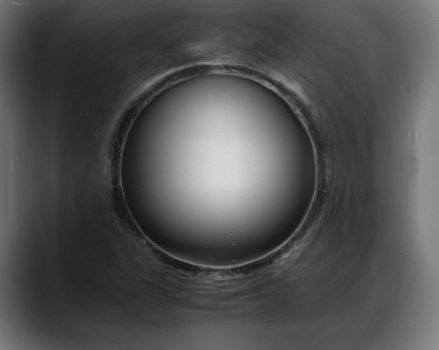 X0000088091311200705251420