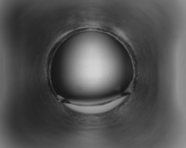 X0000088091312200705251420