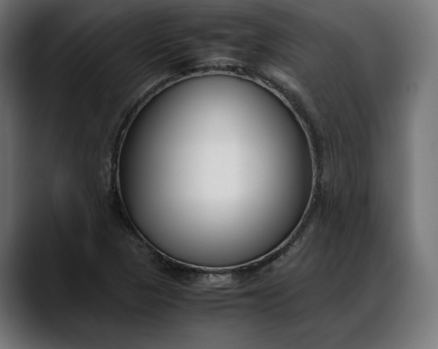 X0000088091313200705251420