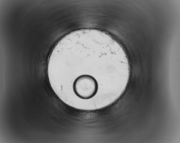 X0000088091314200705251420