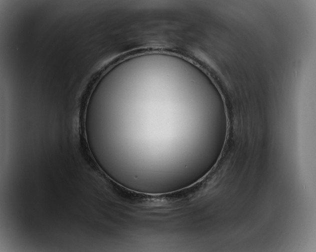 X0000088091315200705251420