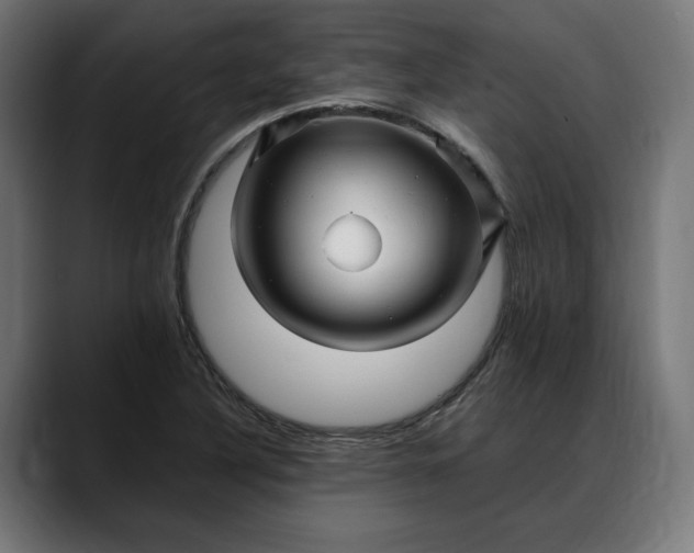 X0000088091316200705251420