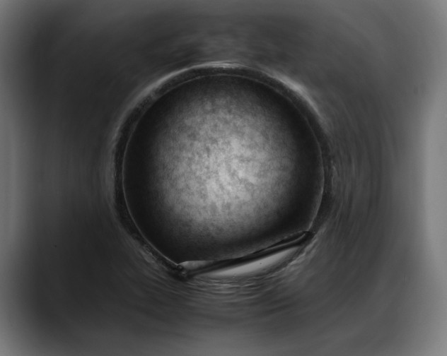 X0000088091319200705251420