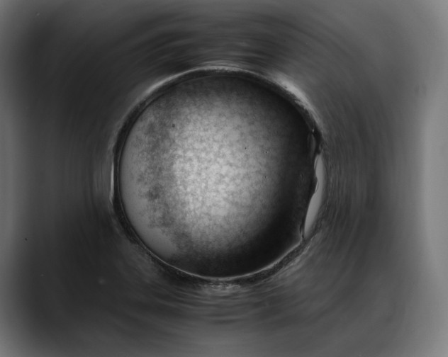 X0000088091323200705251420