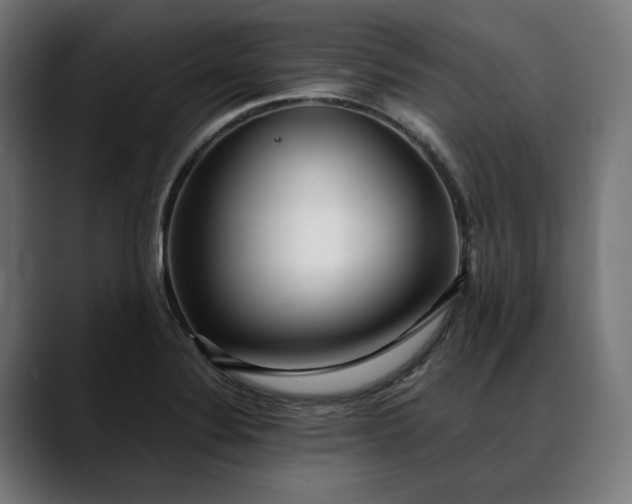 X0000088091324200705251420