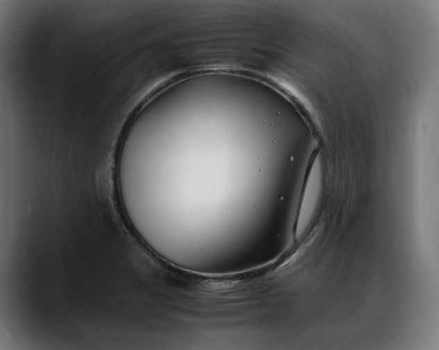 X0000088091325200705251420