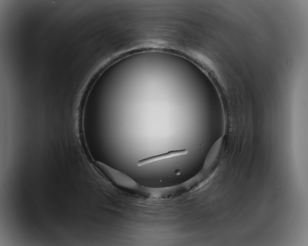 X0000088091326200705251420