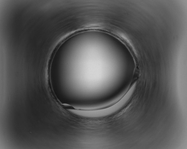 X0000088091328200705251420