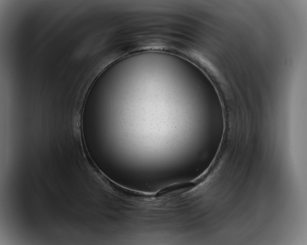 X0000088091329200705251420