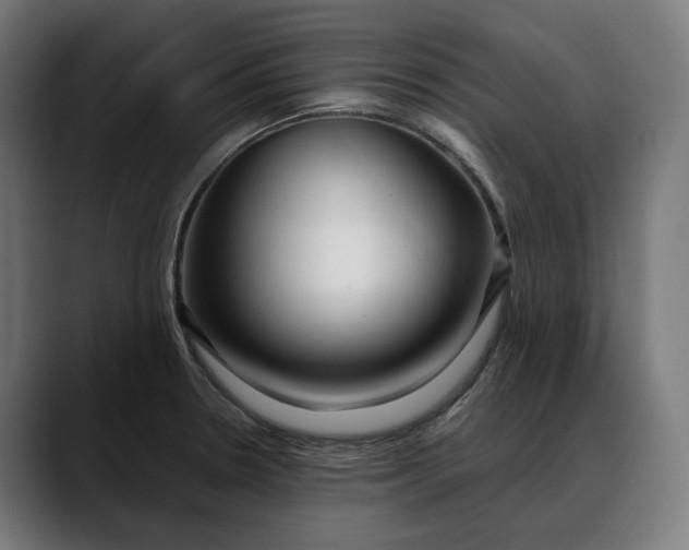 X0000088091330200705251420