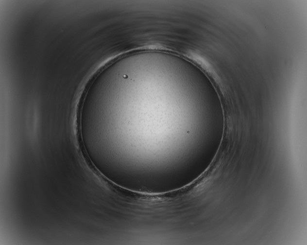 X0000088091331200705251421