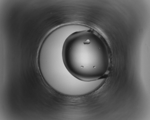 X0000088091332200705251421